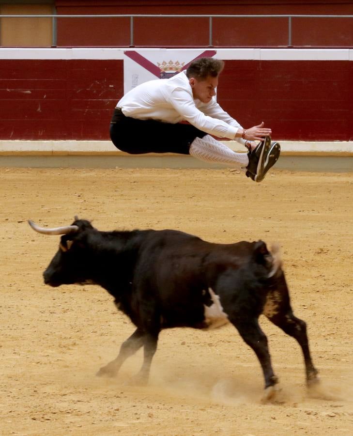 Más de 5.000 personas se dieron cita en el festejo taurino de La Ribera