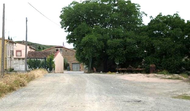 Árbol objeto de denuncia en Ochánduri.