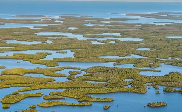 Imagen principal - National Geographic cambia la cámara por el móvil