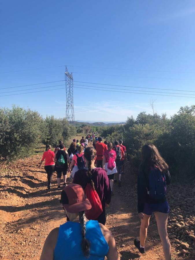 VII marcha Villa de Tudelilla, con 250 personas más unos 20 integrantes de ASPACE Rioja, entidad a la que se destinó parte de la recaudación.