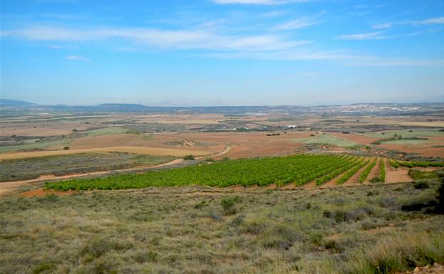 Imagen principal - Vista desde Las Raposeras de una parte del territorio por donde pasa la ruta, iglesia de Pradejón y molino 