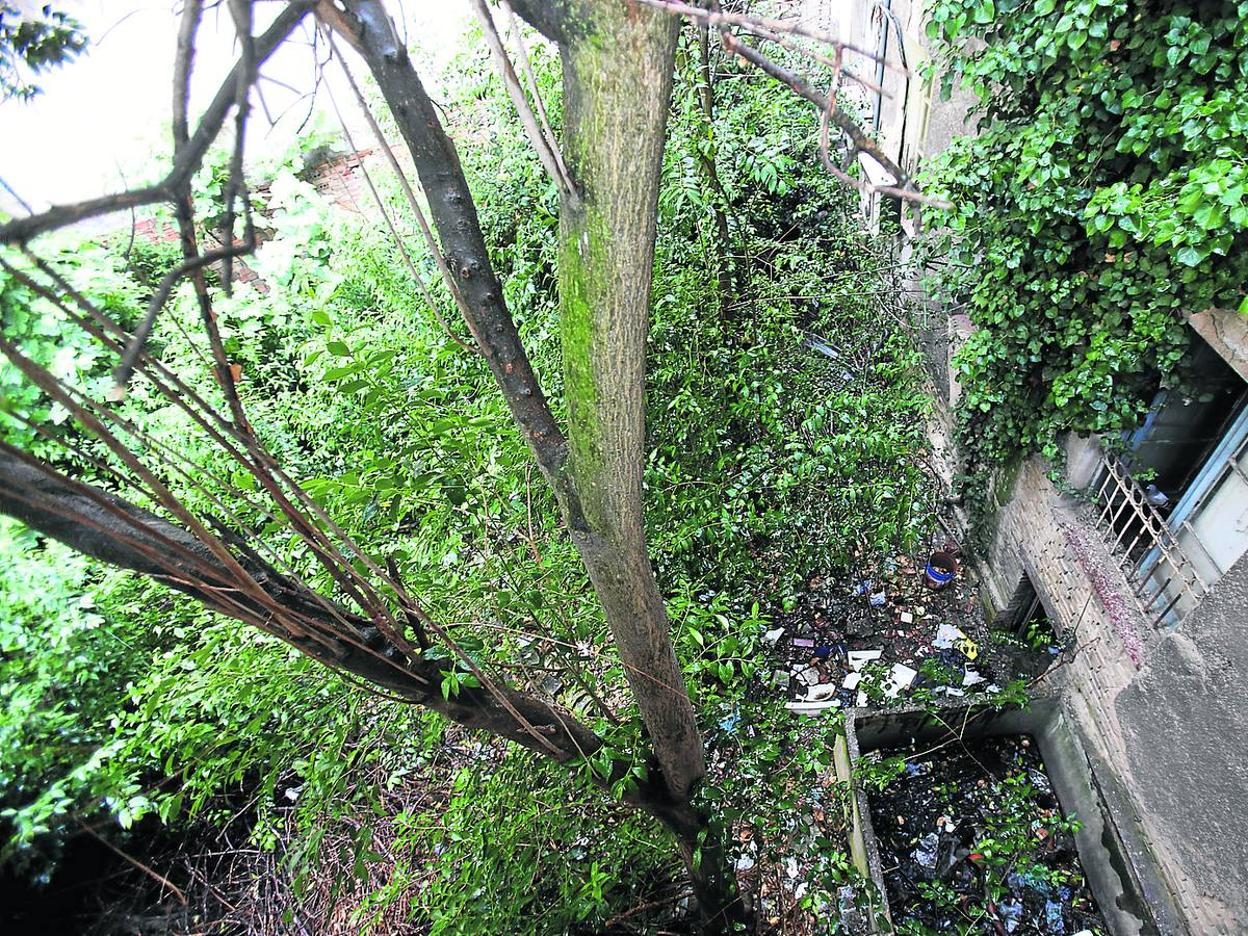 El patio trasero de Pérez Galdós 8 acumula basura, suciedad, maleza y árboles de gran altura que dan imagen de selva. 