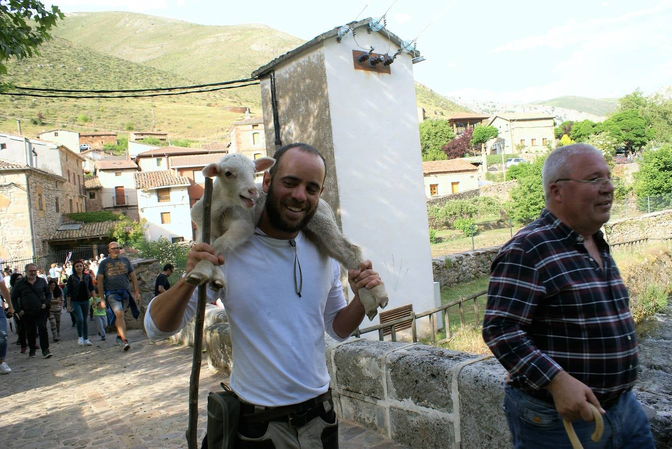 Los pastores han llegado de Extremadura con 500 ovejas