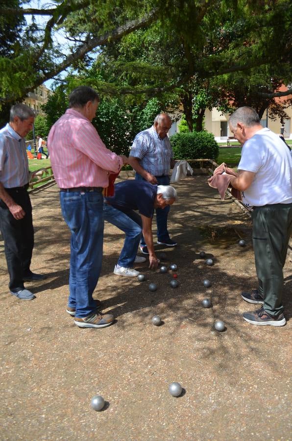 Fotos: Domingo de fiestas de San Juan en Fuenmayor