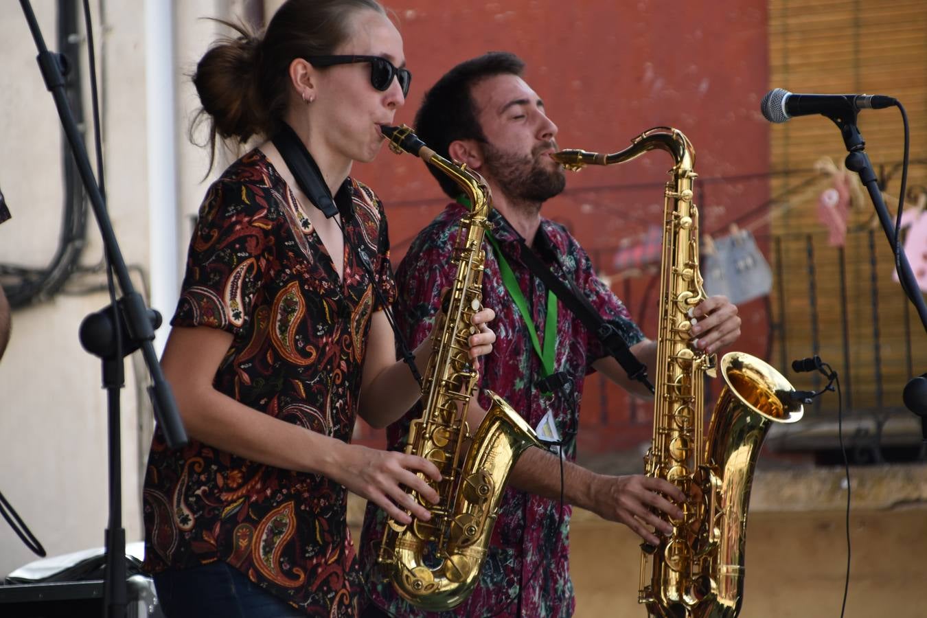 El festival de arte cierra sus puertas en Enciso