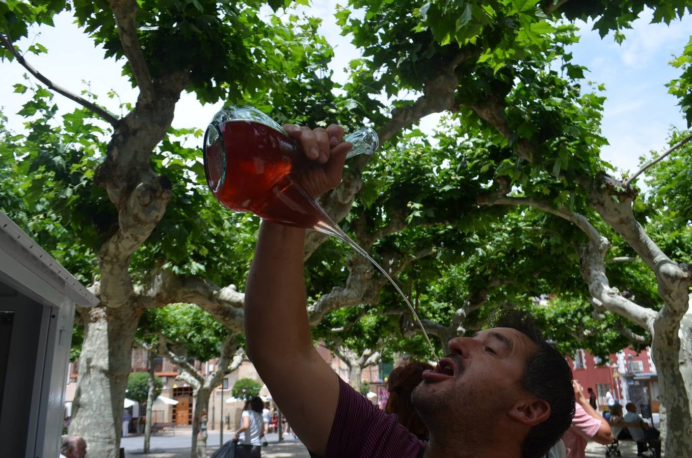 Fotos: Lunes de fiestas de San Juan en Fuenmayor