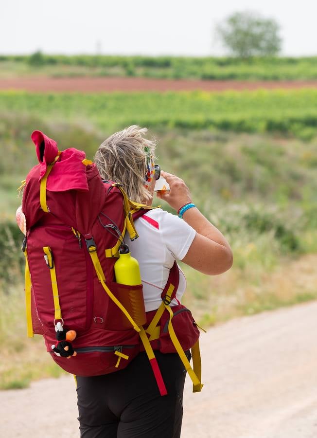 Fotos: Al sofocante calor del Camino