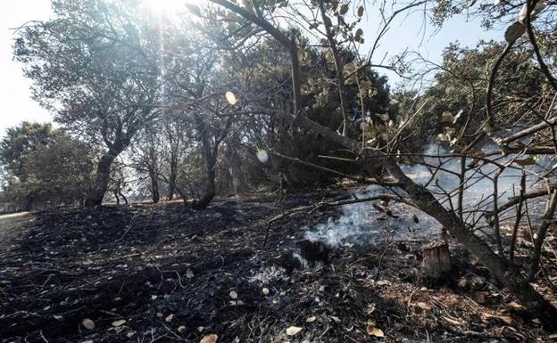 Prevenir los incendios