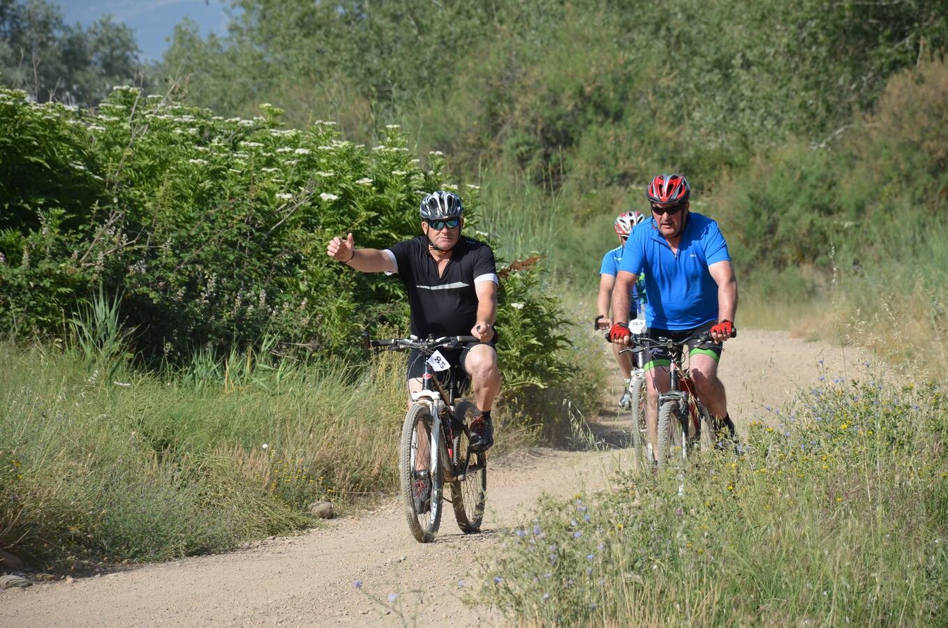 Participantes en el Día de la Bicicleta de Autol