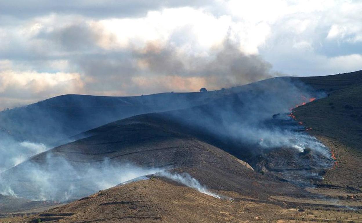 Incendio forestal entre Arnedo y Bergasa, el año pasado