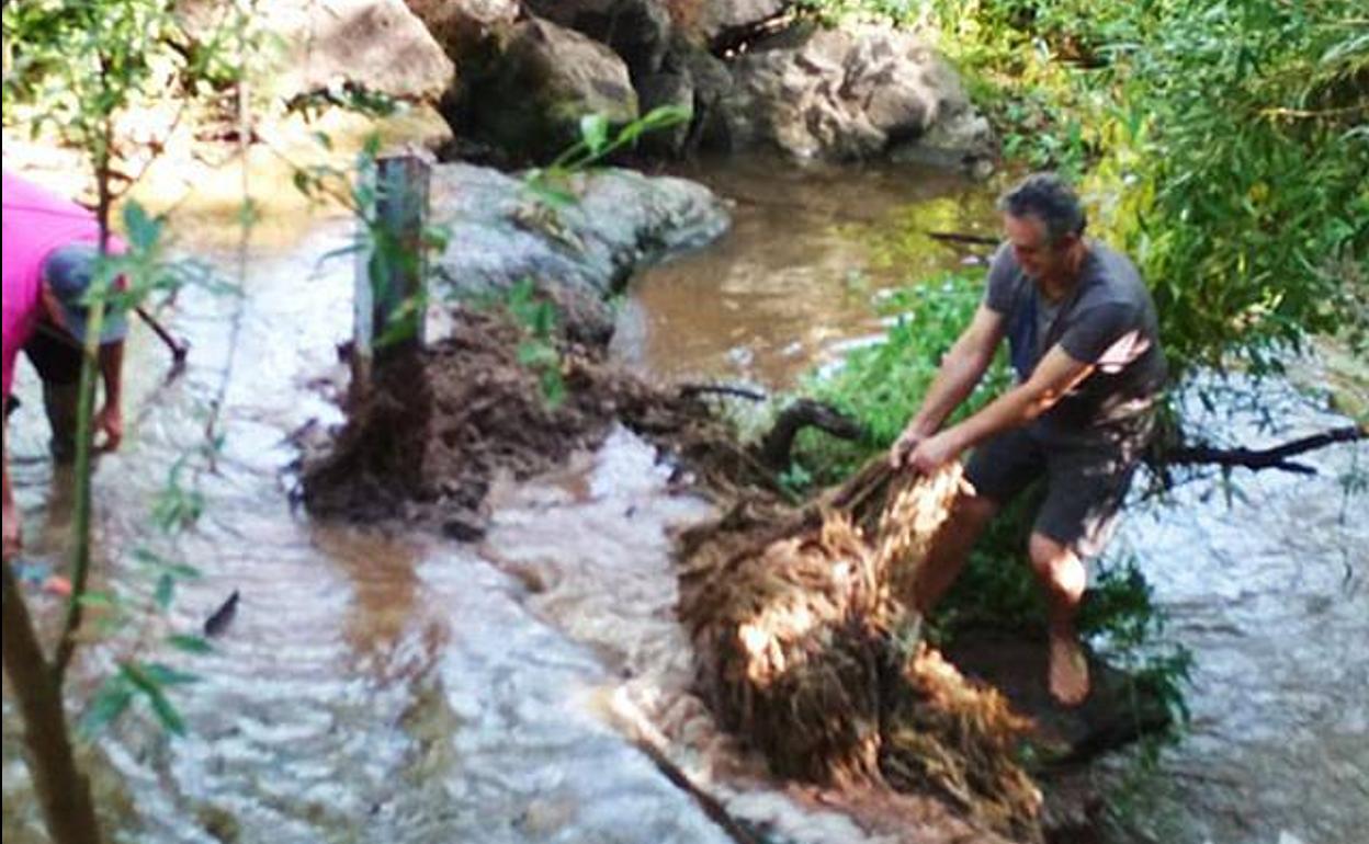 Un momento de la limpieza del río en el que se acumulan la maderas y los restos de tormentas y riadas. 