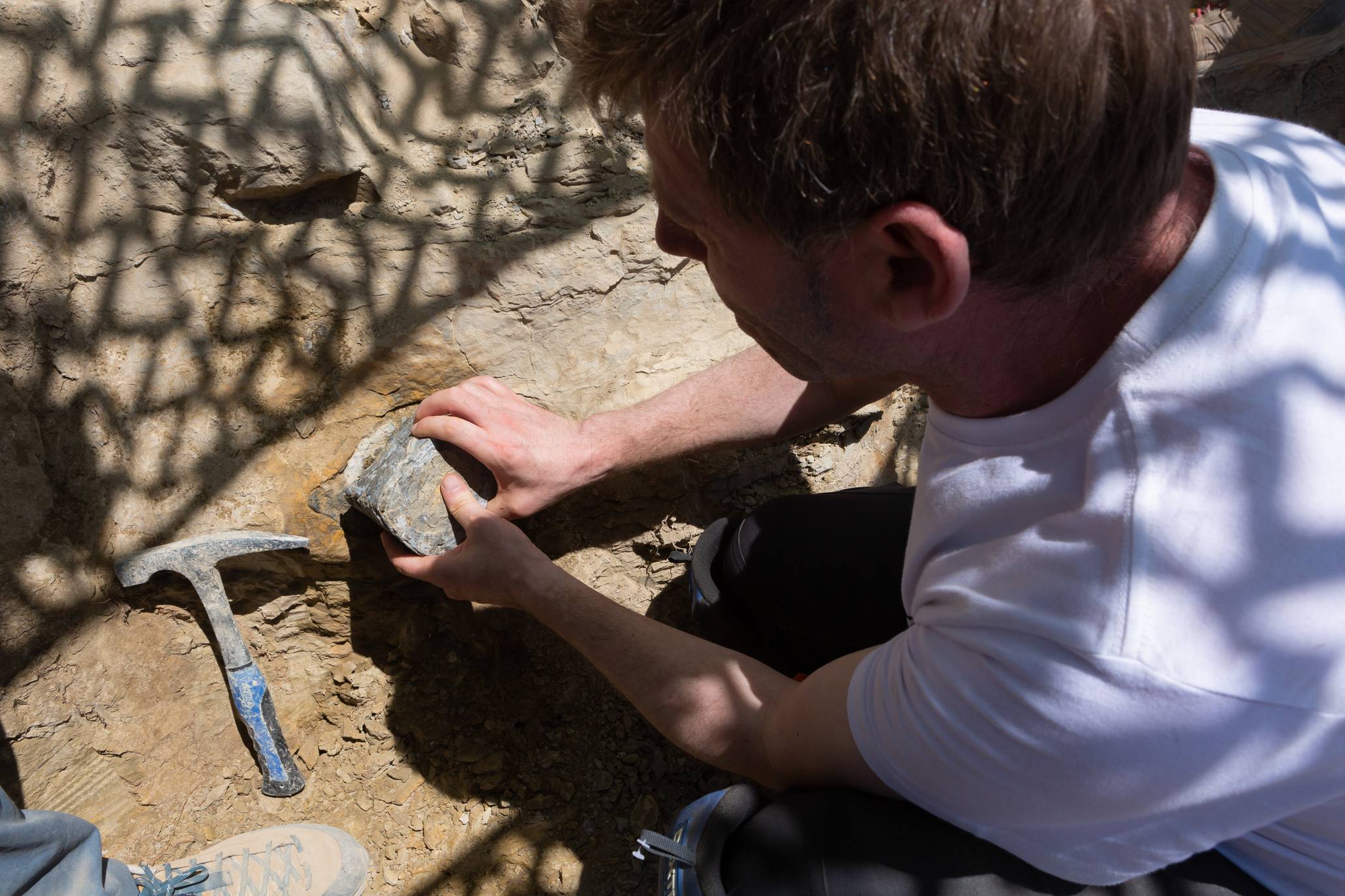 Fotos: Un equipo multidisciplinar trabaja en el yacimiento &#039;Goliat&#039; en Igea