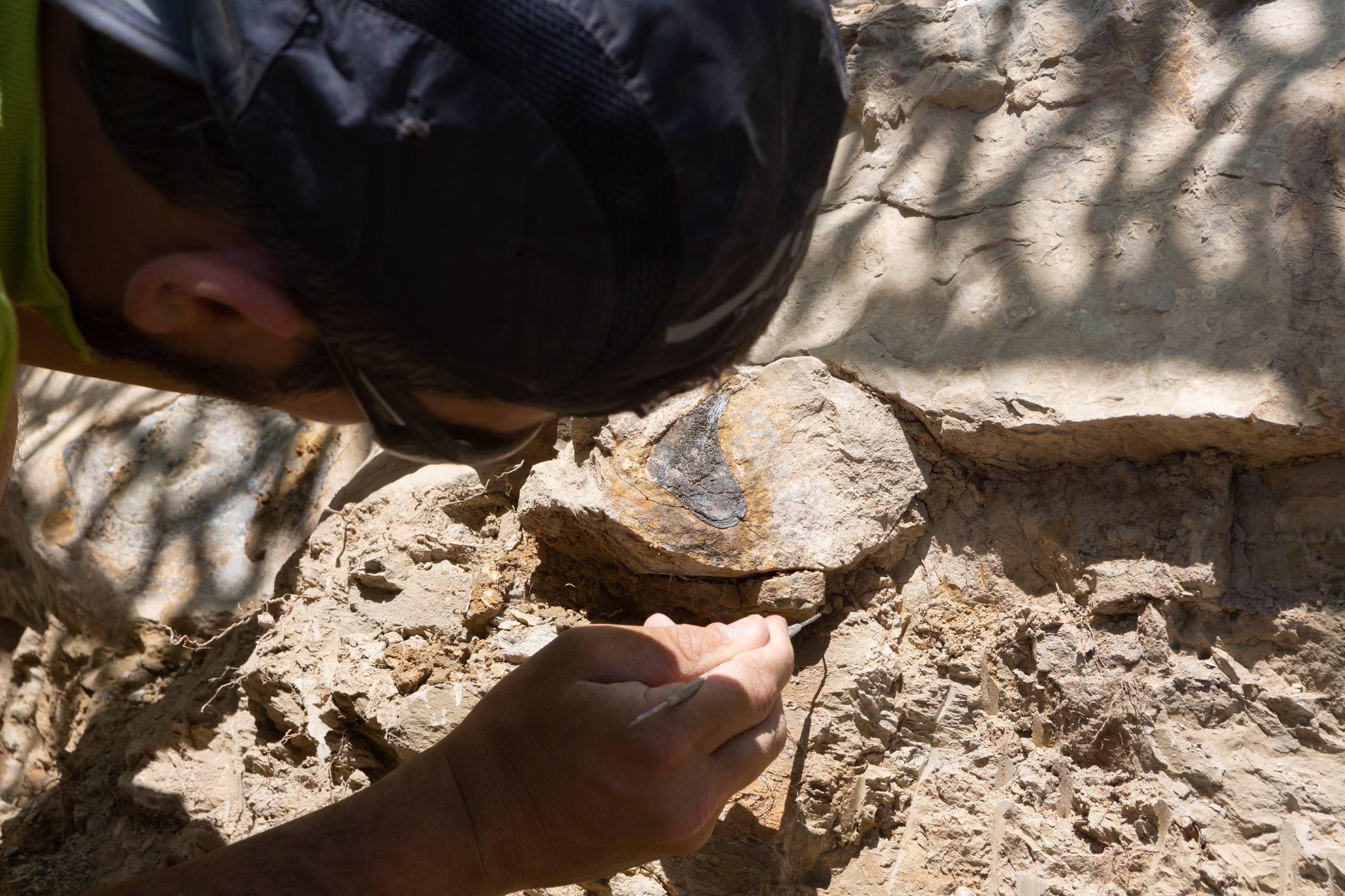 Fotos: Un equipo multidisciplinar trabaja en el yacimiento &#039;Goliat&#039; en Igea