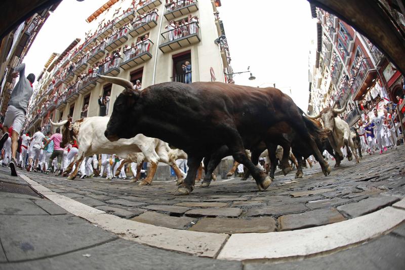 Fotos: Segundo encierro de San Fermín muy veloz y limpio de los toros de Cebada Gago