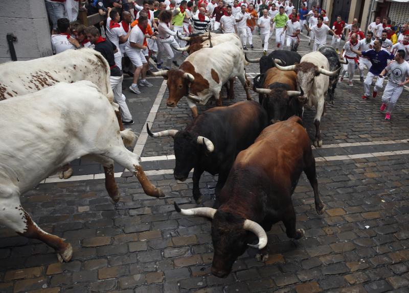 Fotos: Segundo encierro de San Fermín muy veloz y limpio de los toros de Cebada Gago