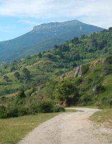 Imagen secundaria 2 - Vista del Cabezo del Santo desde la pista a Montenegro, peñas de Las Torrecillas y Peña Negra desde el camino