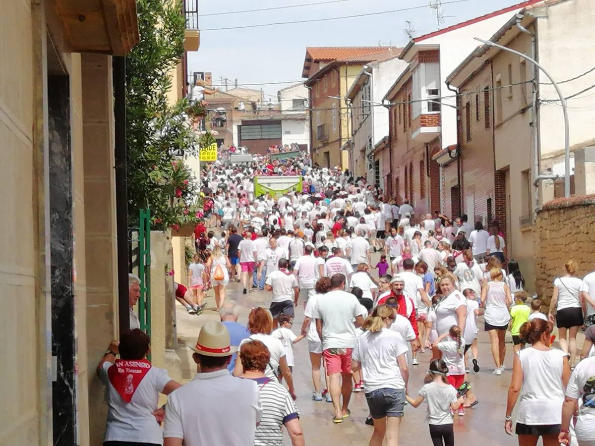 Fotos: San Asensio, de fiesta antes de la Batalla del Clarete