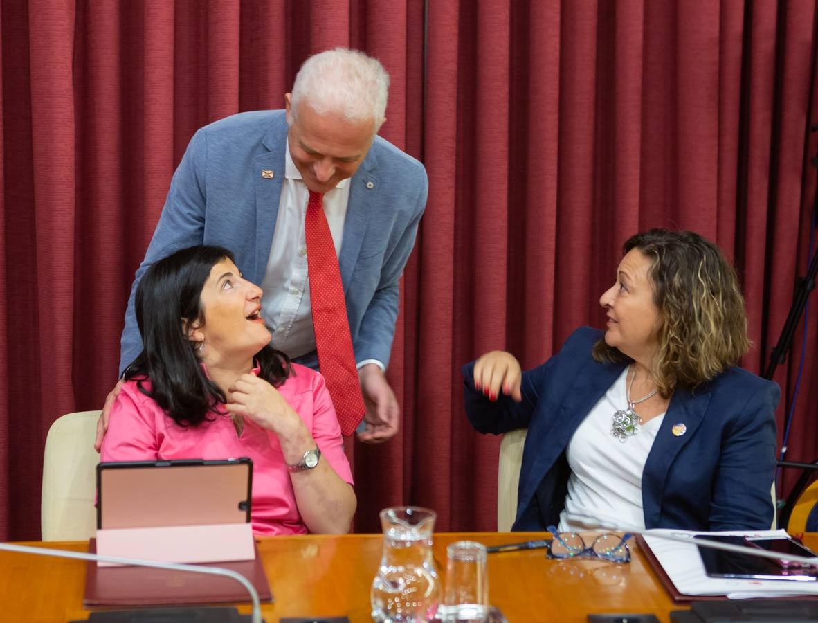 Fotos: Los gestos, los saludos las conversaciones en el Pleno del Ayuntamiento de Logroño