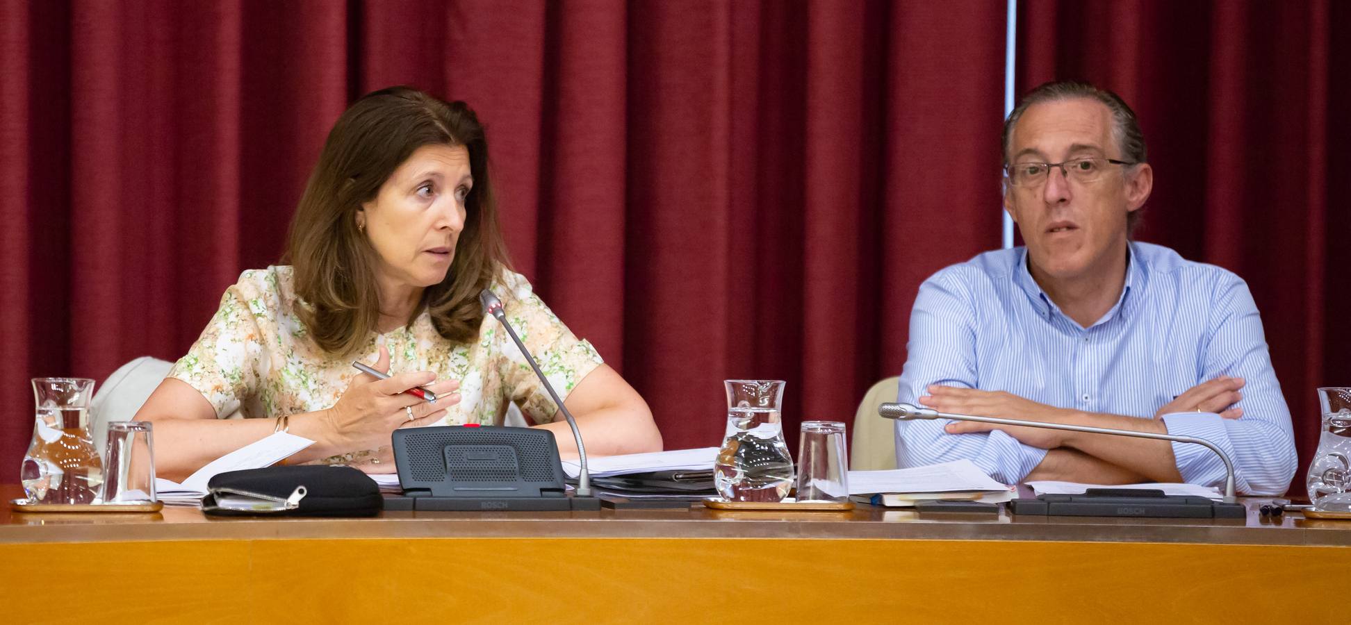 Fotos: Los gestos, los saludos las conversaciones en el Pleno del Ayuntamiento de Logroño