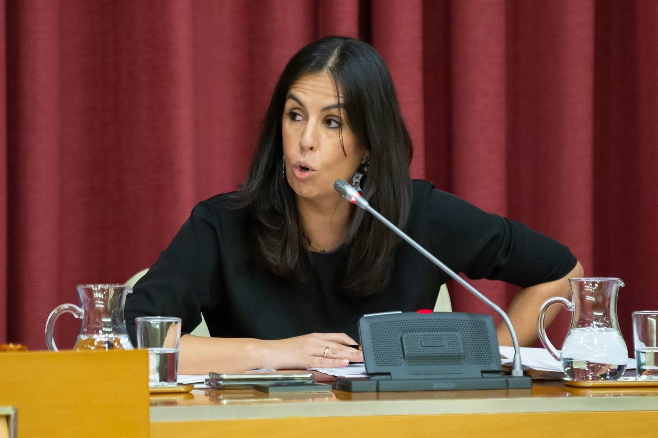 Fotos: Los gestos, los saludos las conversaciones en el Pleno del Ayuntamiento de Logroño