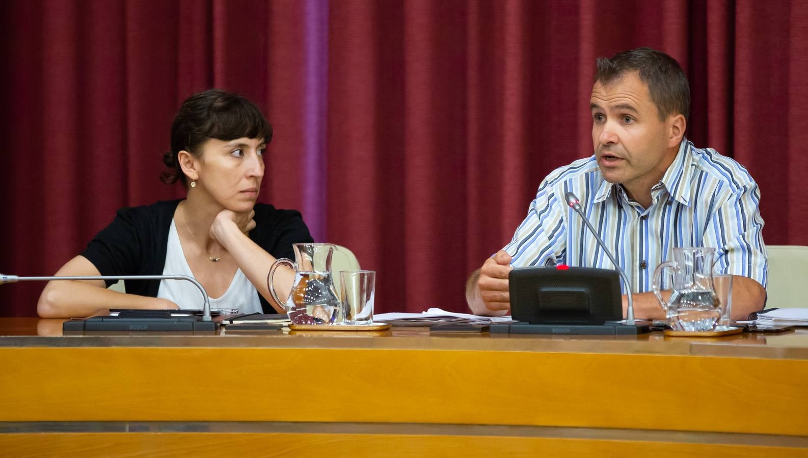 Fotos: Los gestos, los saludos las conversaciones en el Pleno del Ayuntamiento de Logroño