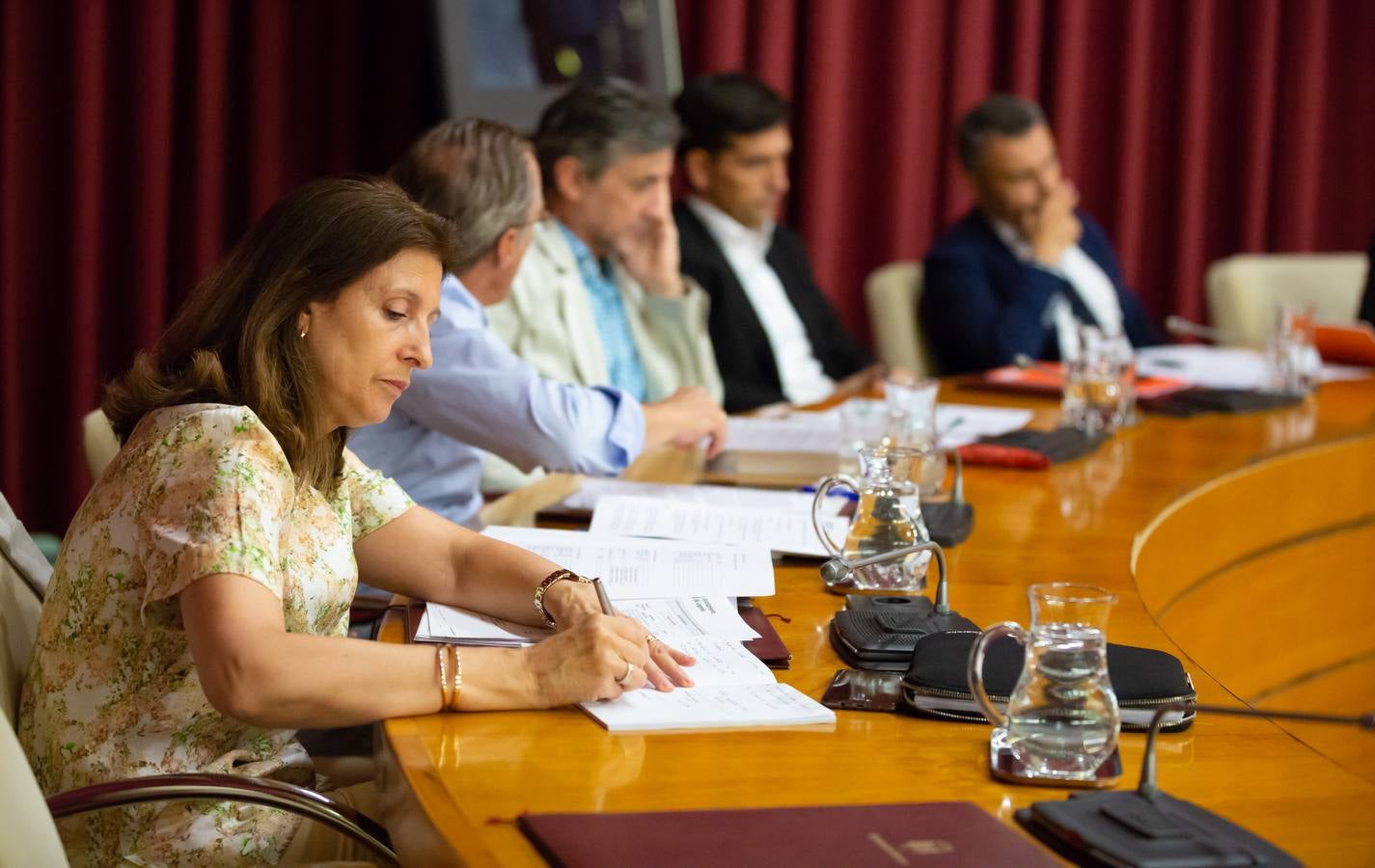 Fotos: Los gestos, los saludos las conversaciones en el Pleno del Ayuntamiento de Logroño