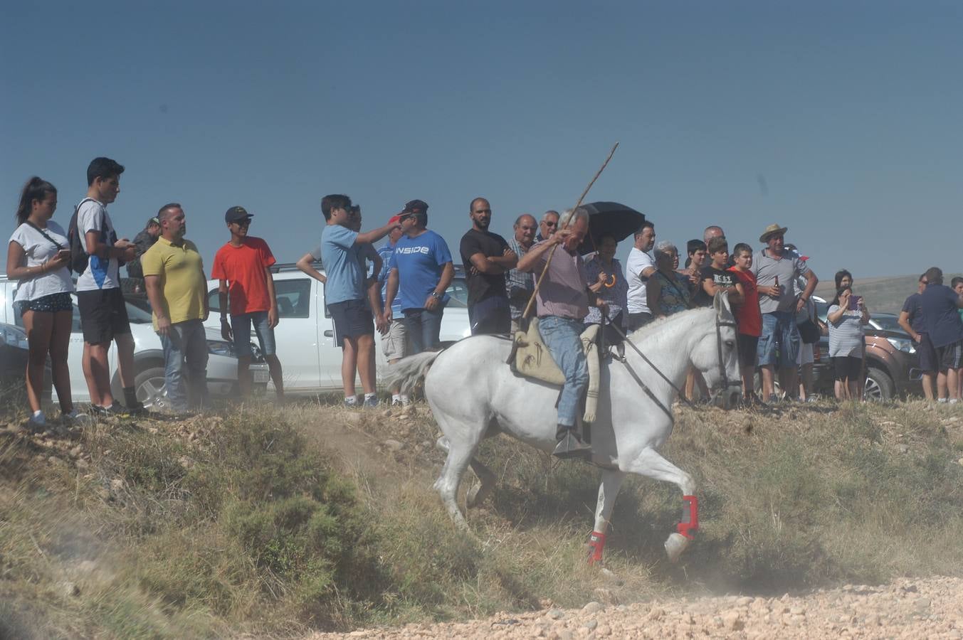 Fotos: La entrada de reses bravas de Valverde, en imágenes