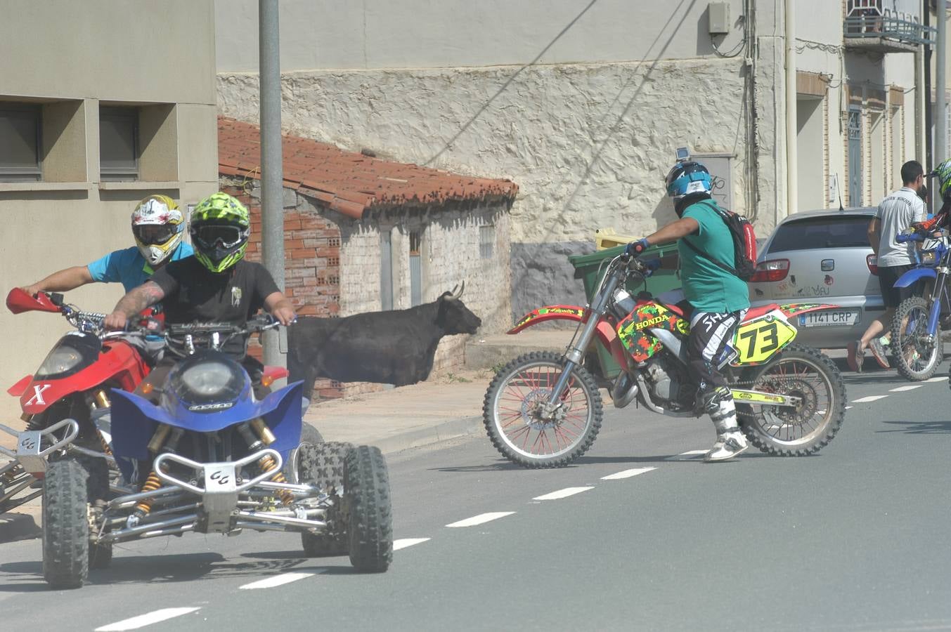 Fotos: La entrada de reses bravas de Valverde, en imágenes