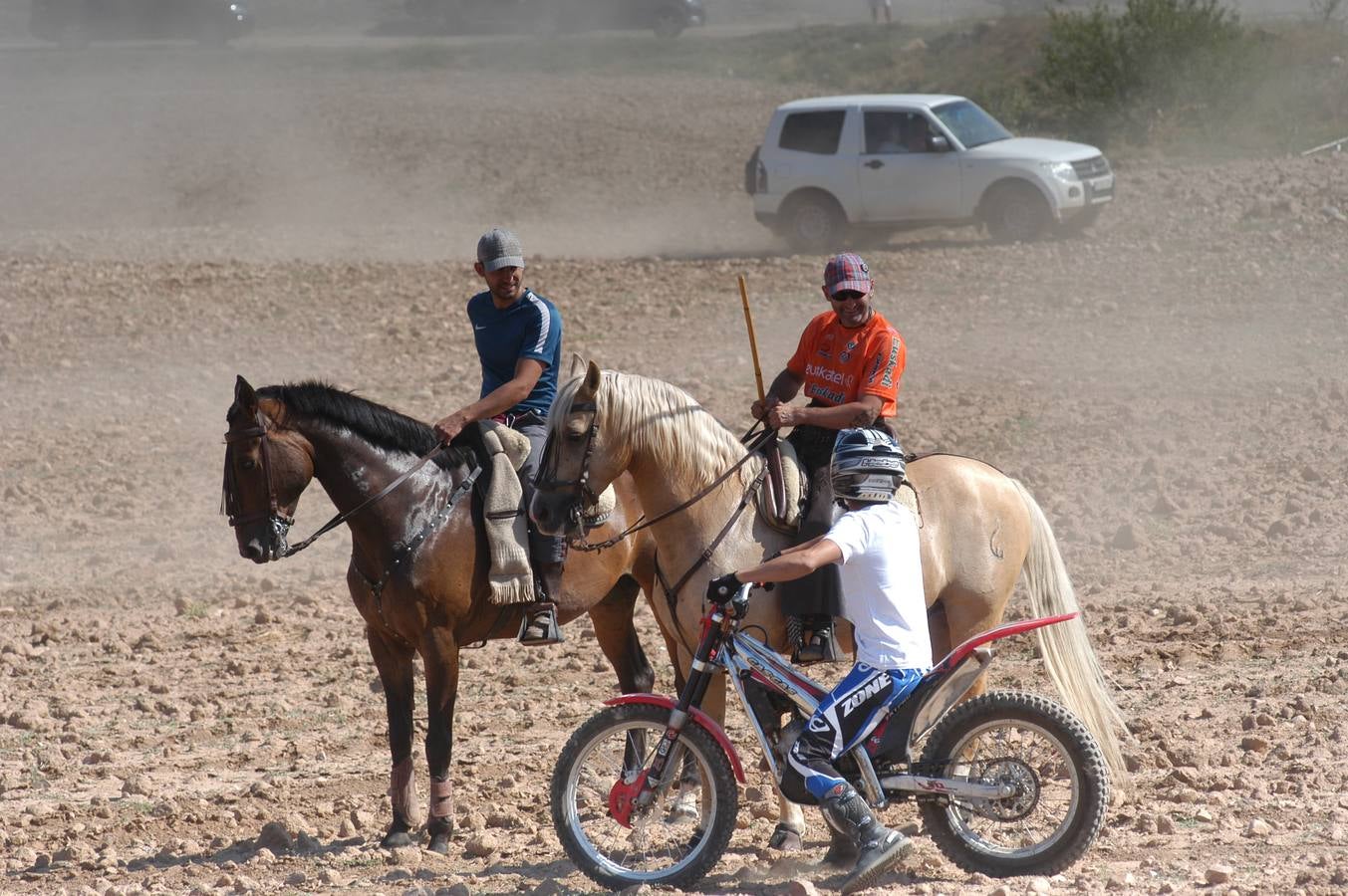 Fotos: La entrada de reses bravas de Valverde, en imágenes