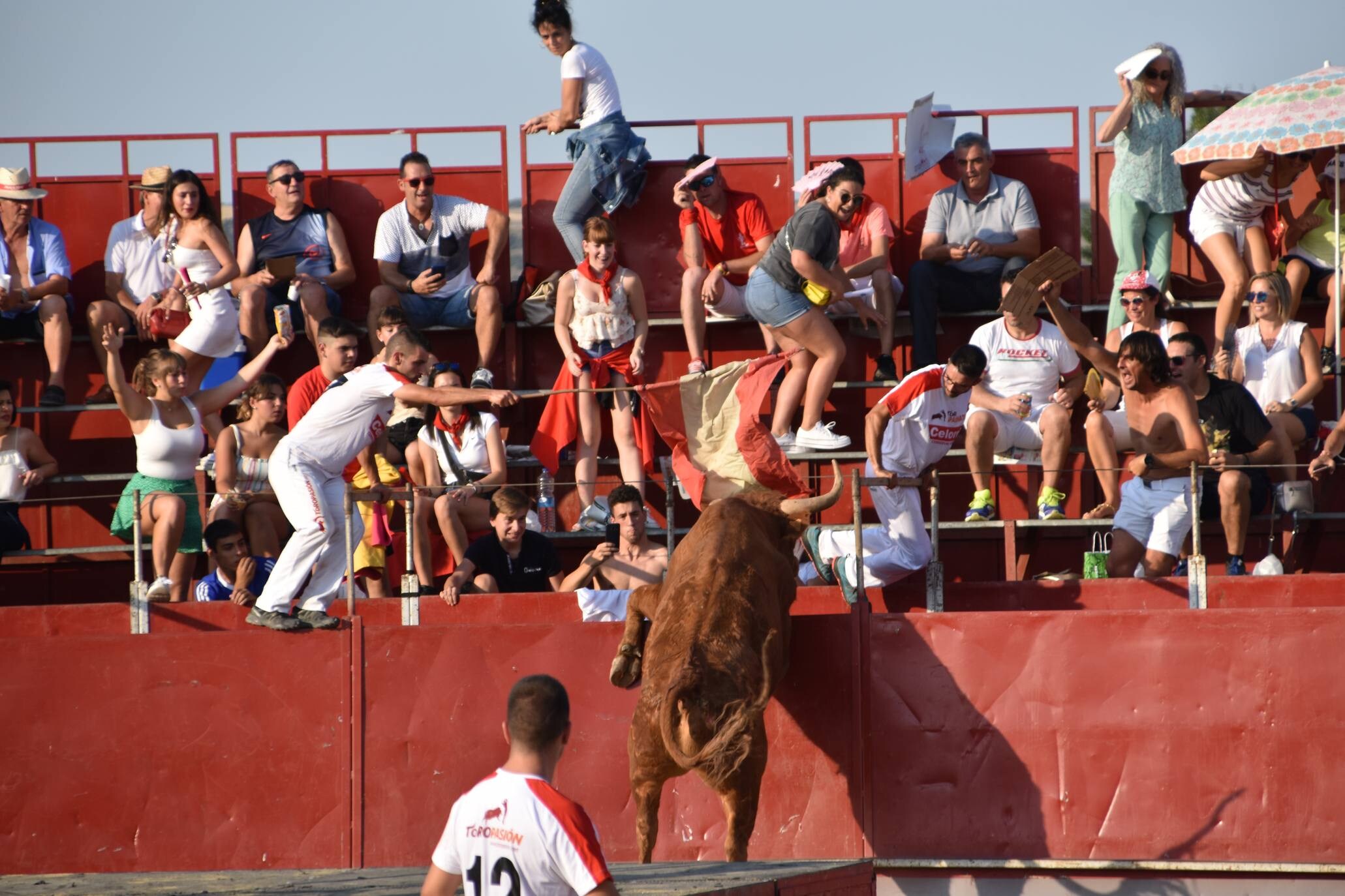 Fotos: Rincón de Soto festeja su día grande