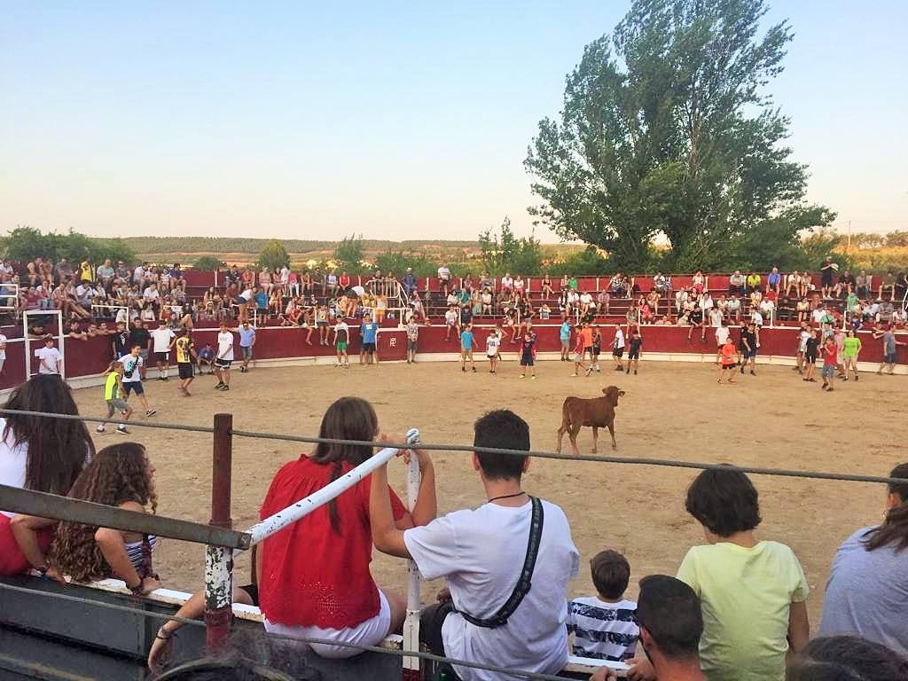 Fiestas de Murillo.