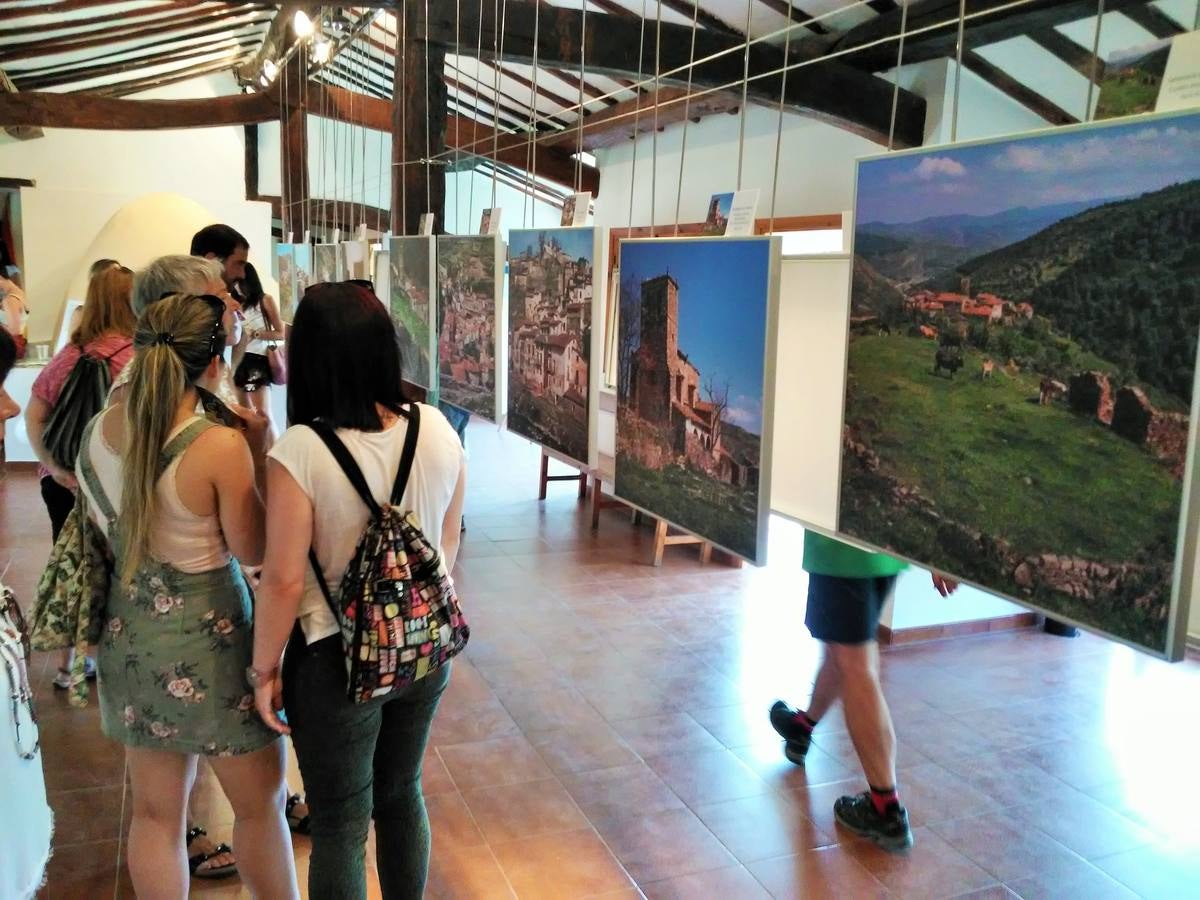 Fotos: San Román acoge el XXXI Día del Camero Viejo