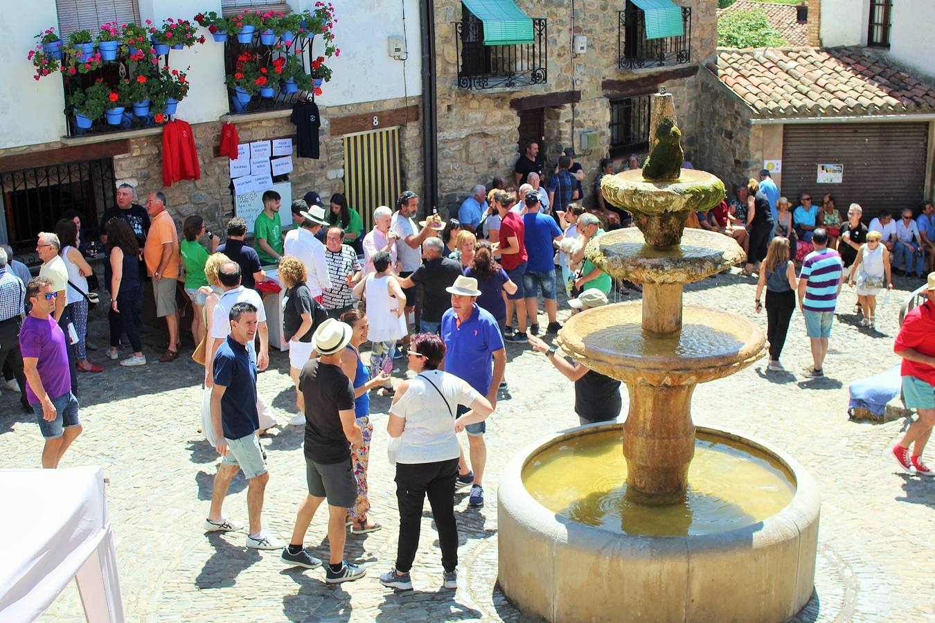 Fotos: San Román acoge el XXXI Día del Camero Viejo