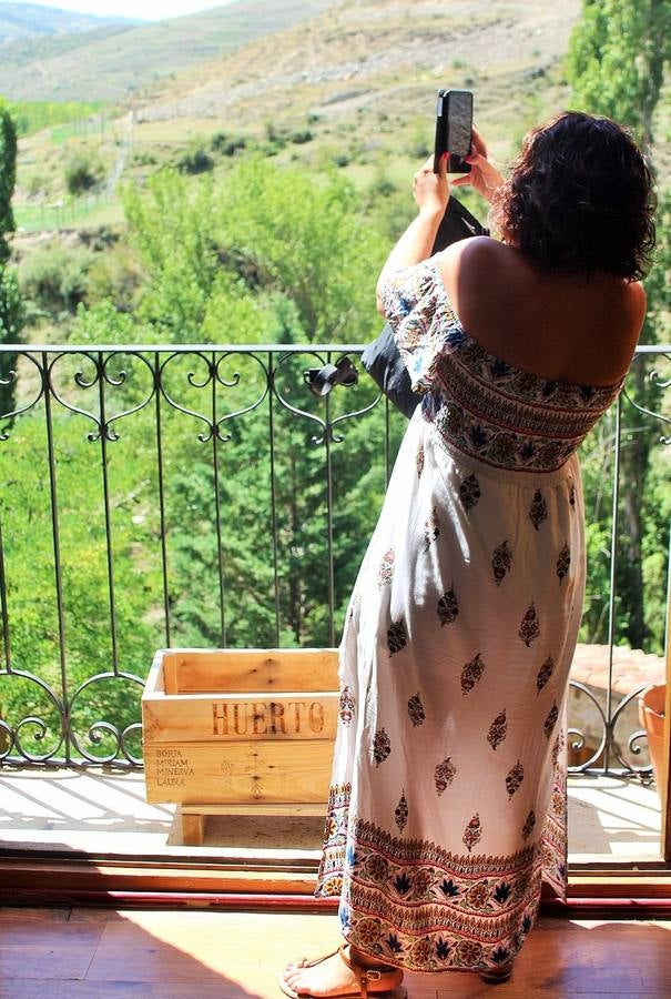 Fotos: San Román acoge el XXXI Día del Camero Viejo