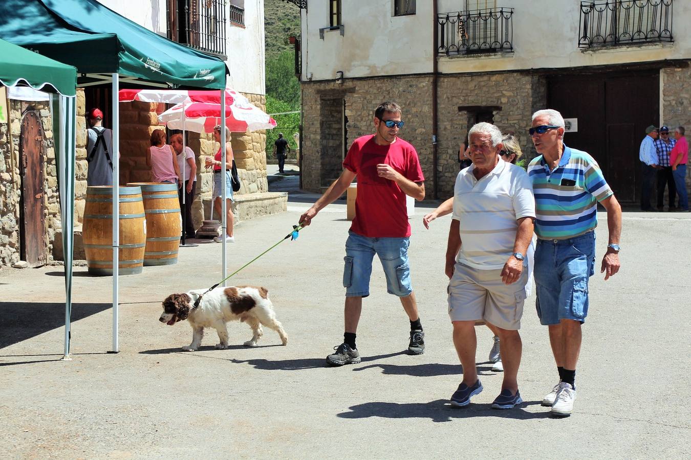 Fotos: San Román acoge el XXXI Día del Camero Viejo