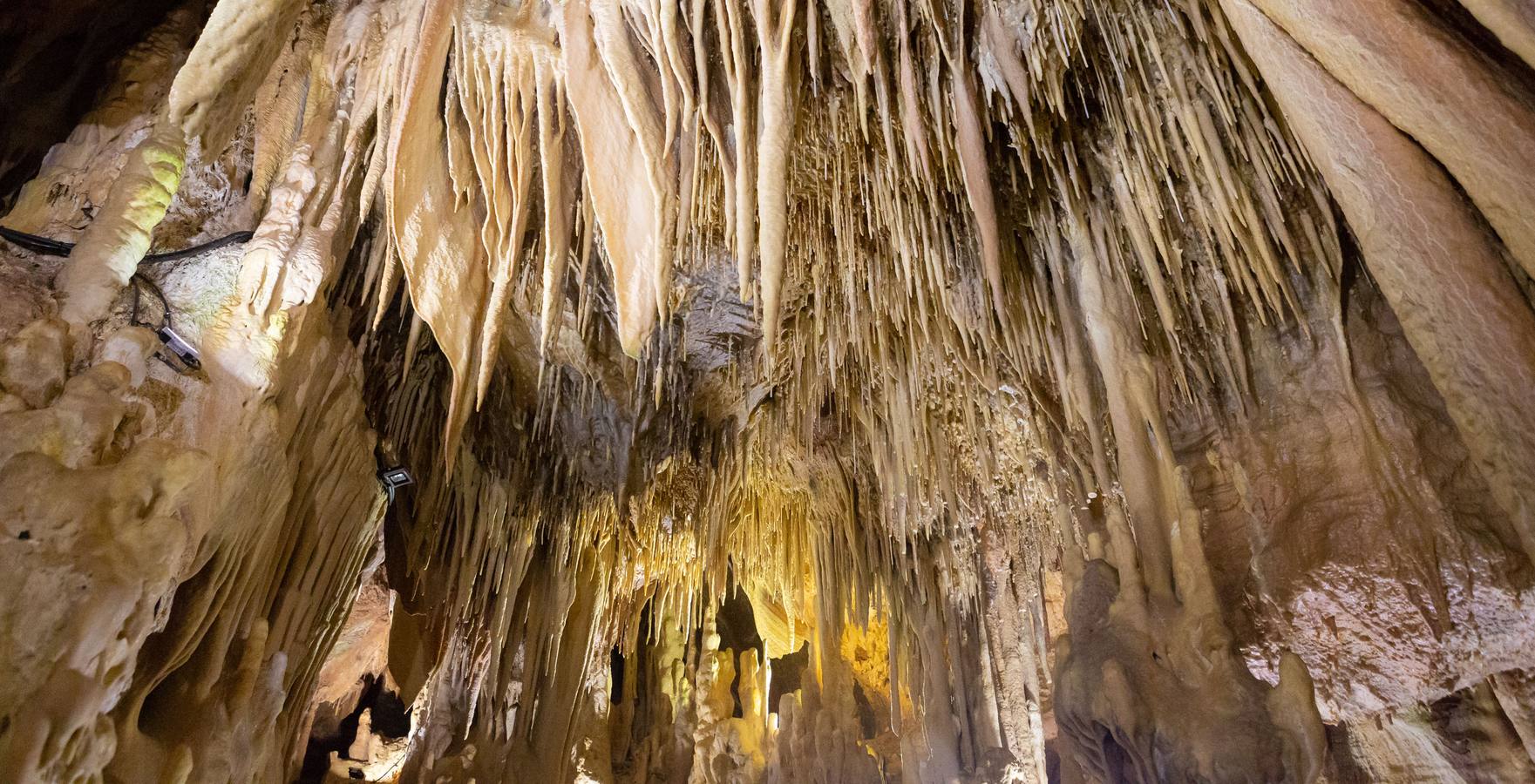 Fotos: Regreso al corazón de Ortigosa