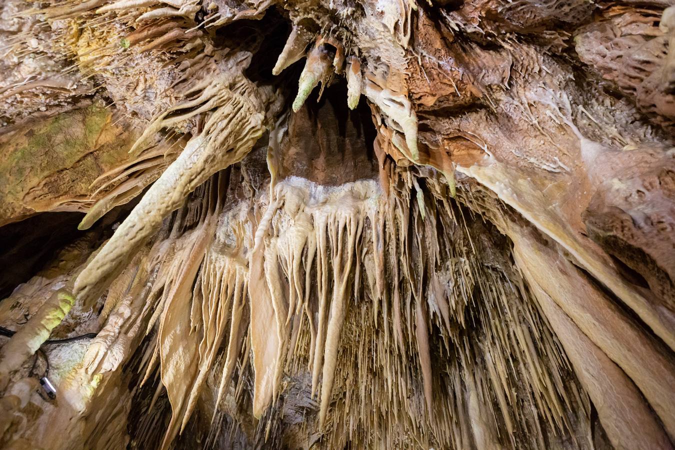 Fotos: Regreso al corazón de Ortigosa