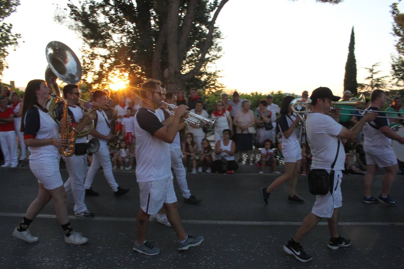 Fotos: Así ha sido el desfile de carrozas de Alfaro