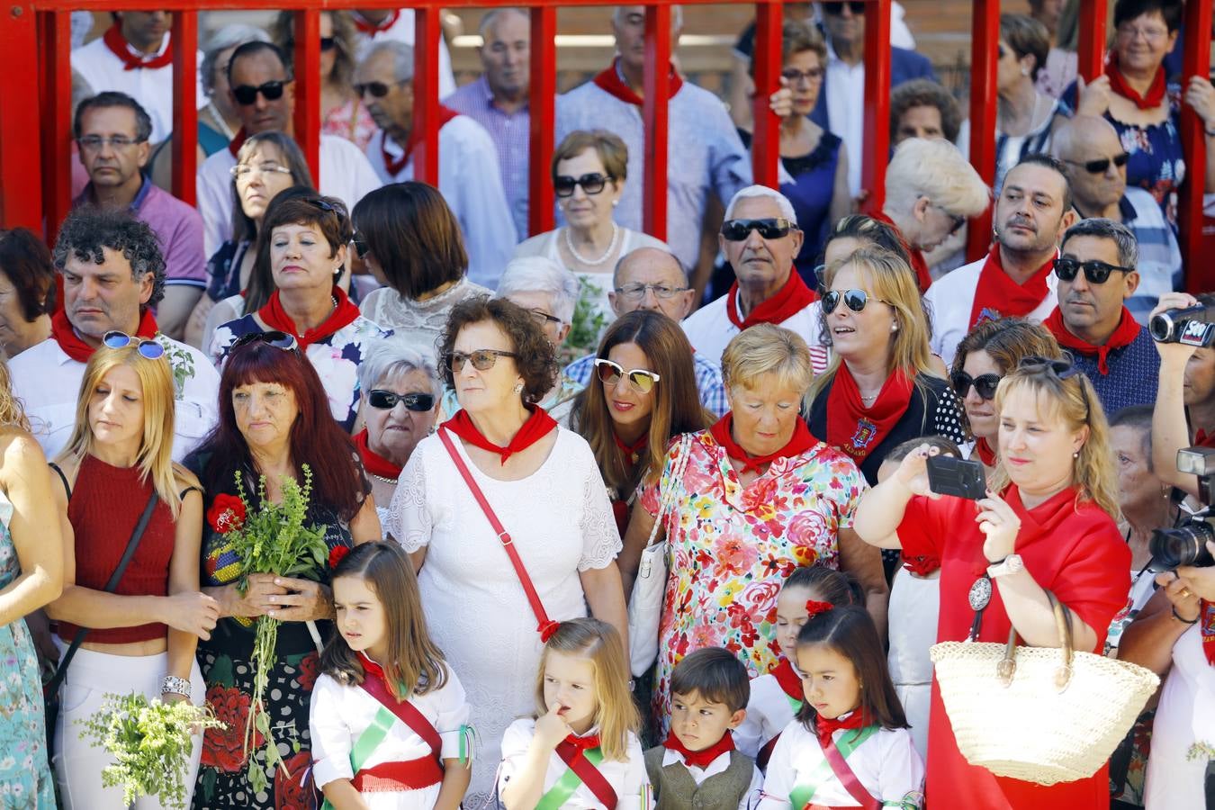 Fotos: Procesión, danzas,