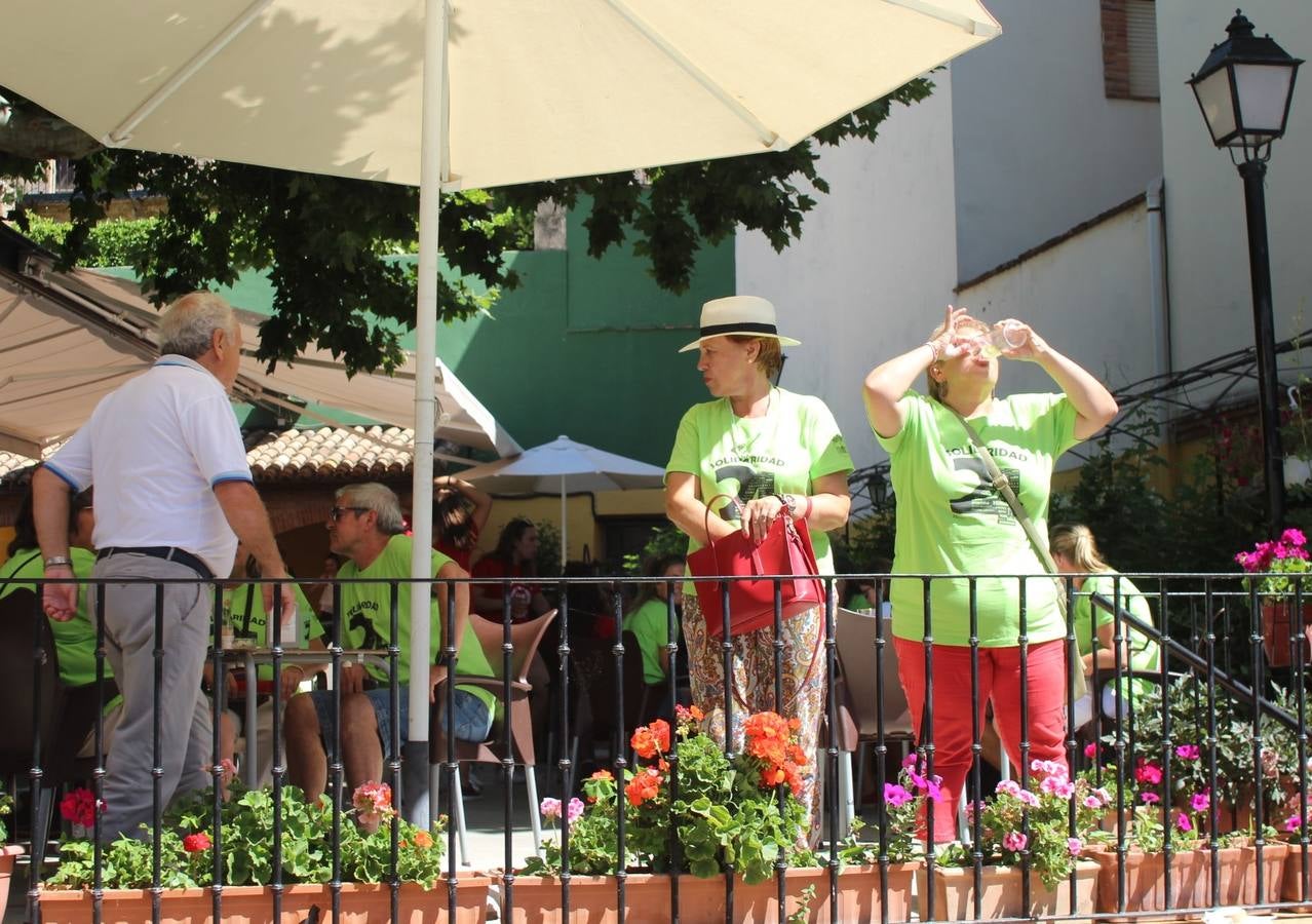 Fotos: XXIV Fiesta de la Solidaridad de Torrecilla en Cameros