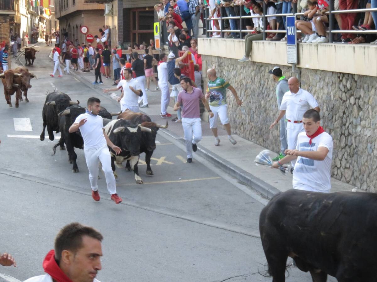 Fotos: Alfaro llega al ecuador de sus fiestas de San Roque y San Ezequiel