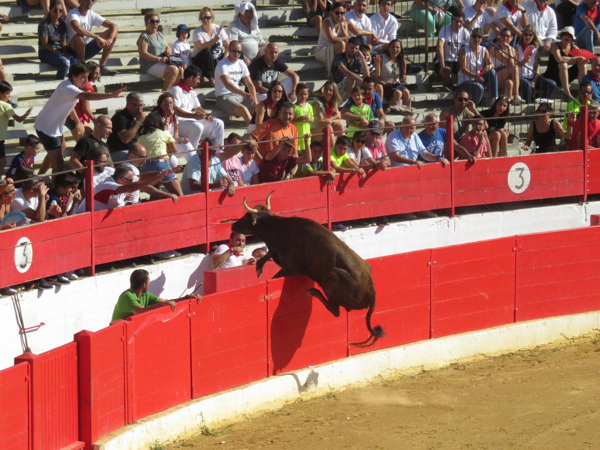 Fotos: Alfaro llega al ecuador de sus fiestas de San Roque y San Ezequiel