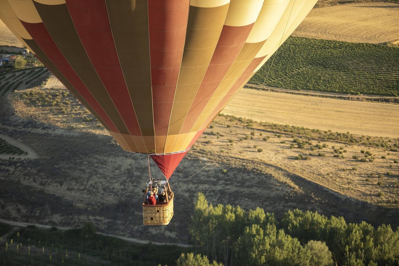 Fotos: Regata de globos aerostáticos en Haro y su comarca