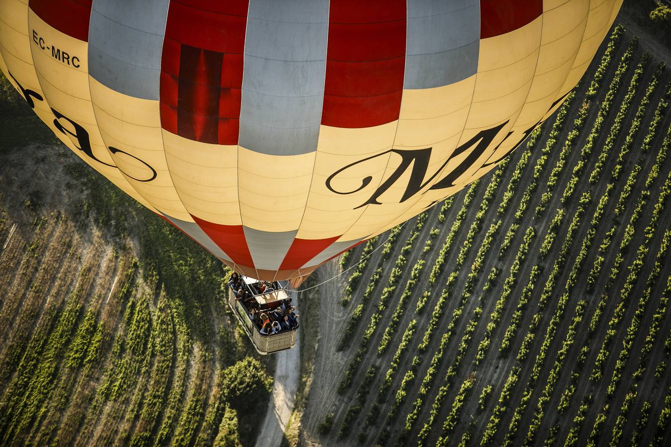 Fotos: Regata de globos aerostáticos en Haro y su comarca