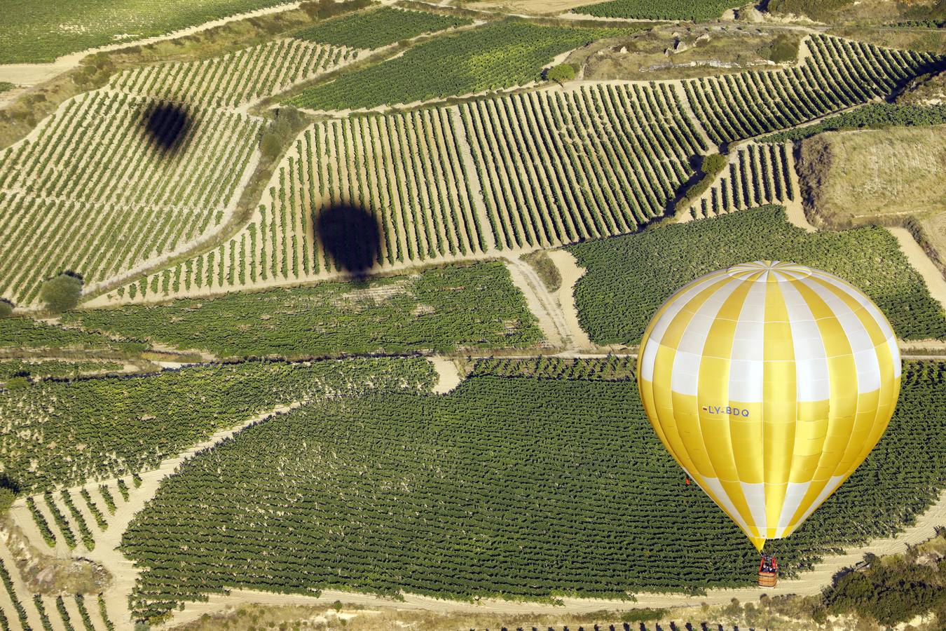 Fotos: Regata de globos aerostáticos en Haro y su comarca