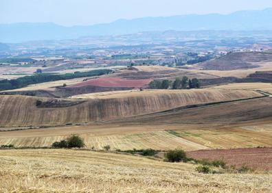 Imagen secundaria 1 - Arriba, panorámica de Estollo. Abajo, Imagen actual de los campos de cereales que se extienden entre Estollo y Villaverde, sin rastro ya de la torca aparecida hace veintidós años, que se puede apreciar en la imagen de la derecha.