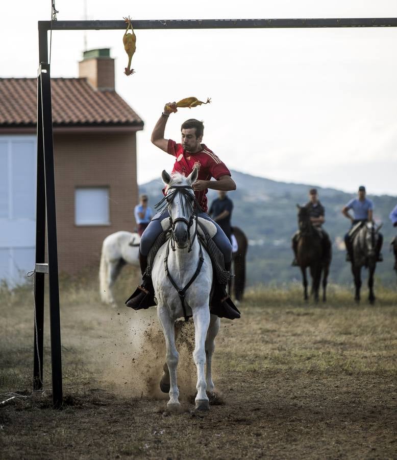 Enrique del Río vence por cuarta vez y su caballo suma ya ocho victorias