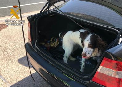 Imagen secundaria 1 - Otras de las actuaciones de la Guardia Civil