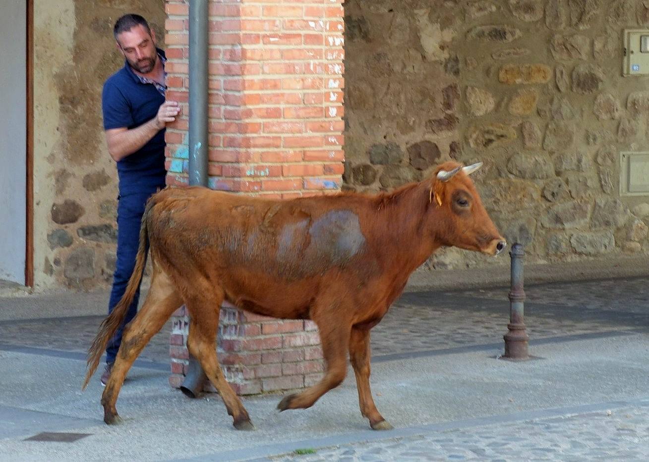 Fotos: Torrecilla honra a la Virgen de Tómalos
