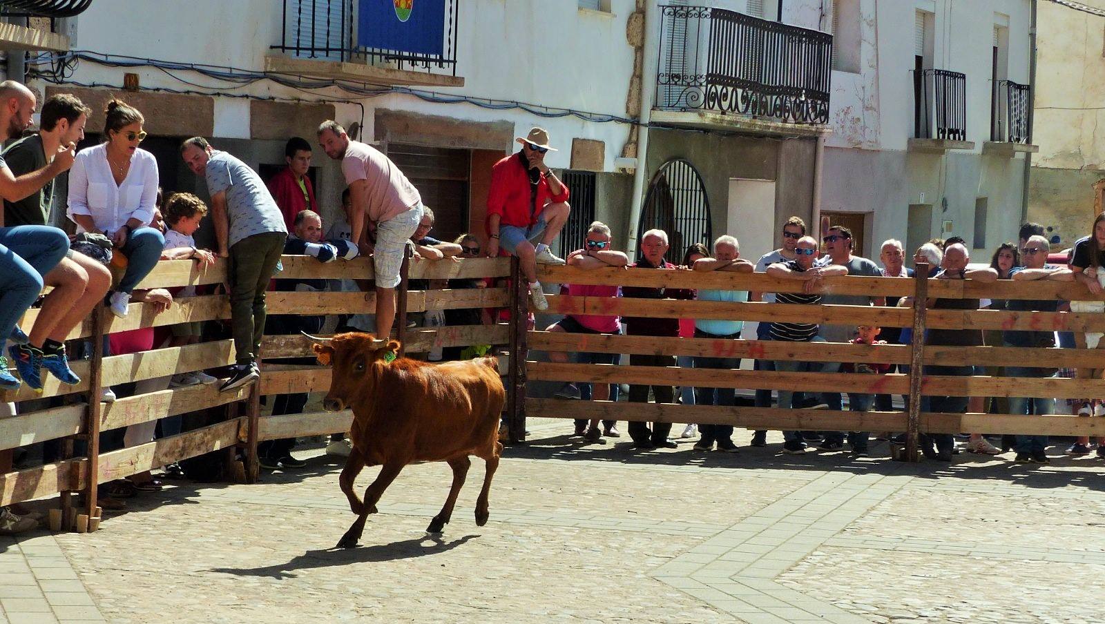 Fotos: Torrecilla honra a la Virgen de Tómalos